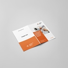 Show details for Folded Leaflets